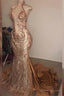 2025 Mermaid Dusty Rose Halter Long Backless Lace Prom Dresses