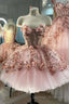 Princess Sparkly Sweetheart Prom Dress with 3d Flowers, Pink Quinceanera Dress