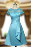 Blue Mother Of The Bride Dress A-line Cap Sleeves Appliques