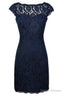 Blue Lace Mother Of Bride Dresses, For Wedding Party Homecoming Dress