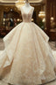 Champagne Ball Gown Lace Tulle Sequins V-neck Backless Wedding Dress