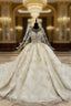 Champagne Ball Gown Tulle Sequins Long Sleeve Backless Appliques Wedding Dress