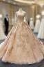 Champagne Gold Ball Gown Tulle Backless Long Sleeve Quinceanera Dress