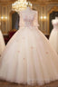 Champagne Tulle 3D Appliques Quinceanera Dress