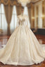Champagne Tulle Appliques Long Sleeve Luxury Wedding Dress