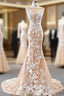 Dark Champagne Tulle Mermaid Lace Appliques Prom Dress