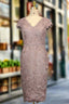 Elegant Lace V-neck Cap Sleeves Mother of the Bride Dress with Sash