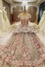 Gray Ball Gown Tulle Appliques Beading Long Train Wedding Dress
