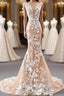 Mermaid Open Back Champagne Lace Long Prom Dress, Champagne Lace Formal Dress, Champagne Evening Dress