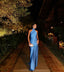 Sexy Sheath Blue Evening Gown Prom Party Dress