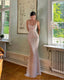Simple Mermaid Straps Sequin Prom Dress Maxi Dress 22Th Birthday Outfits