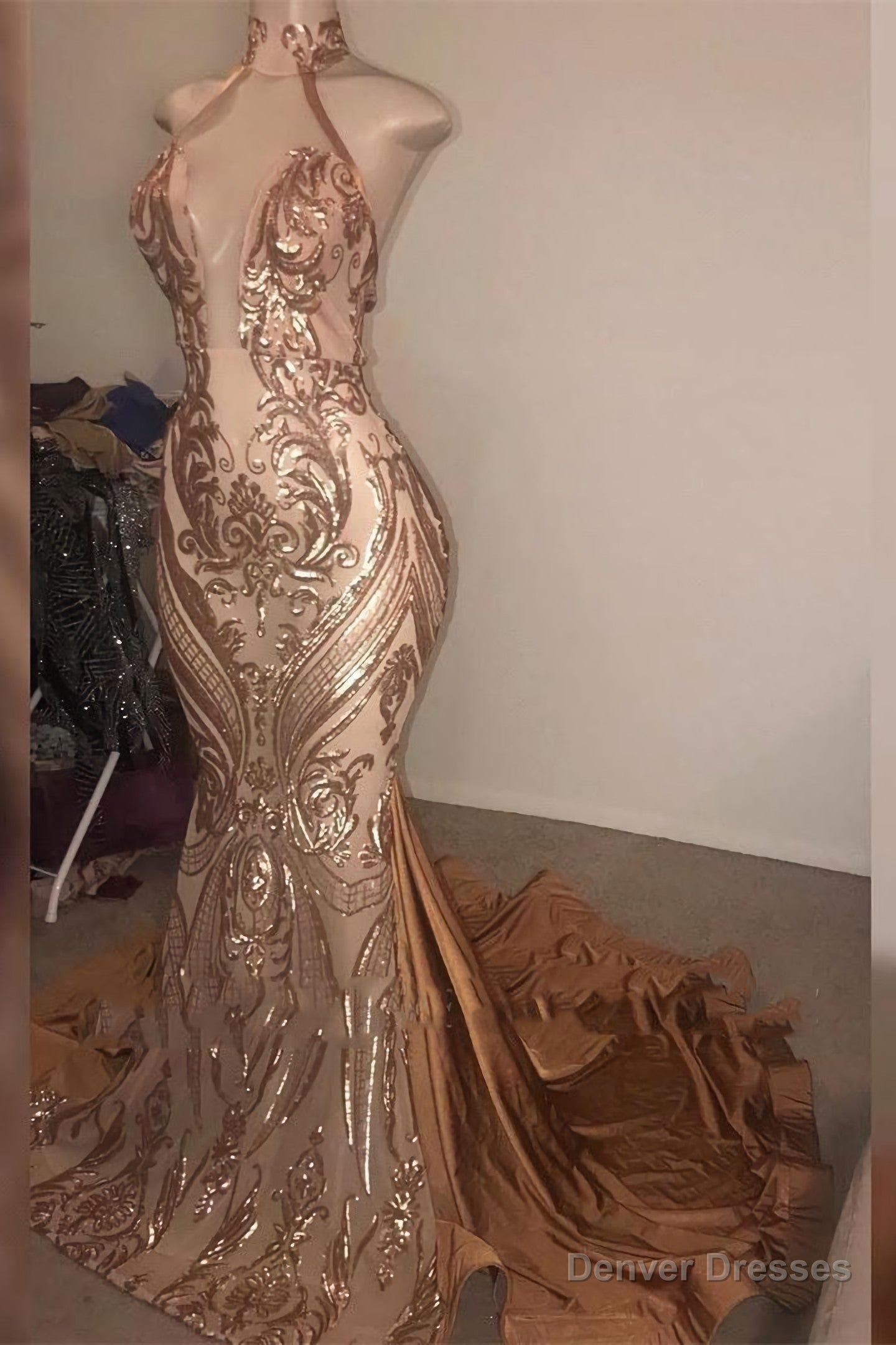 2025 Mermaid Dusty Rose Halter Long Backless Lace Prom Dresses Main image