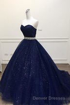 Navy Blue Ball Gown Court Train Sleeveless Mid Back Sparkle Prom Dress