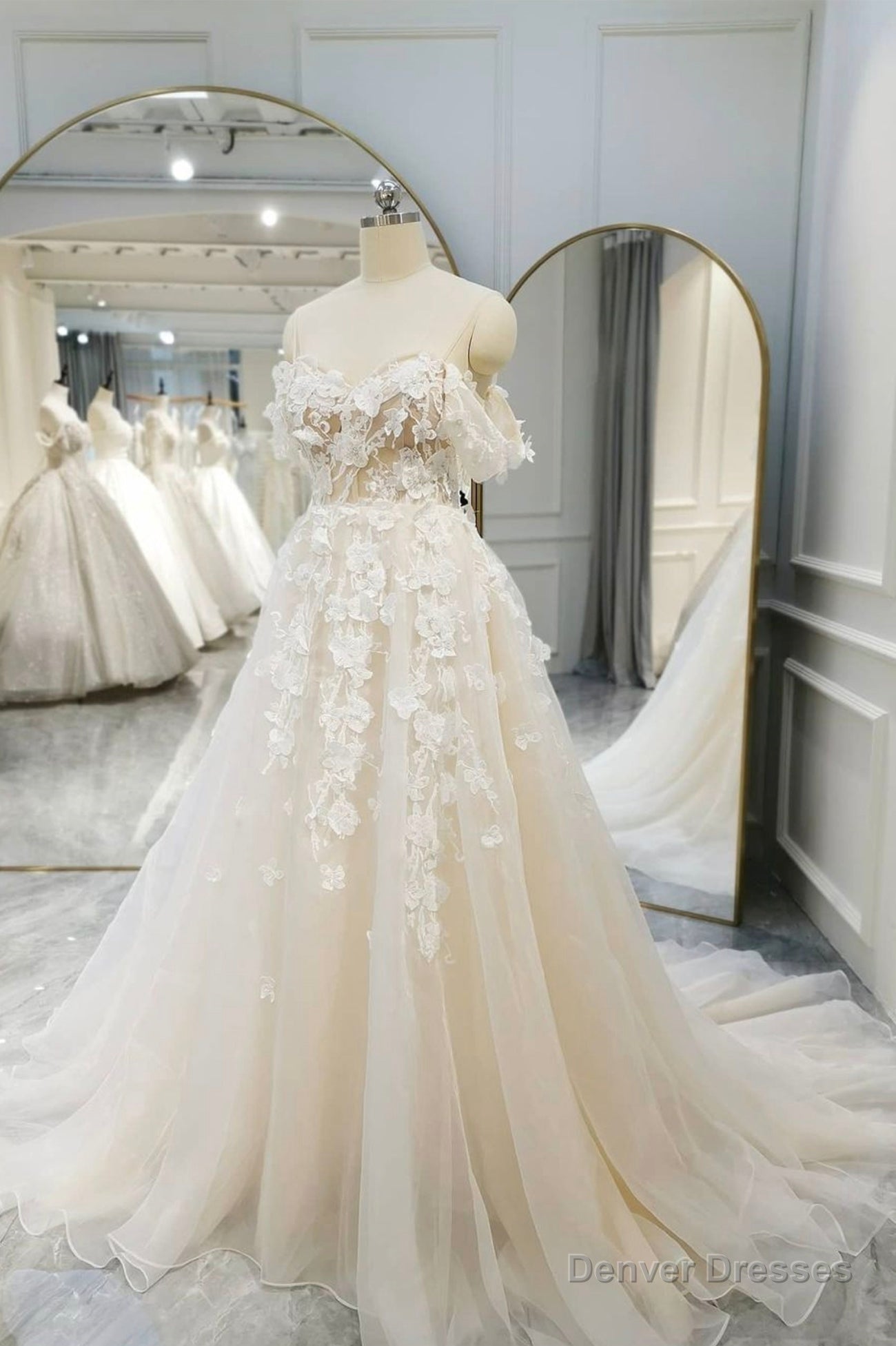 Champagne Tulle Lace Long Prom Dress, A-Line Evening Gown Main image