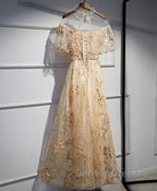 Champagne Tulle Lace Long Prom Dress, Champagne Formal Dress, 1