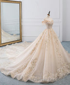 Champagne Off Shoulder Tulle Lace Long Wedding Dress, Wedding Gown