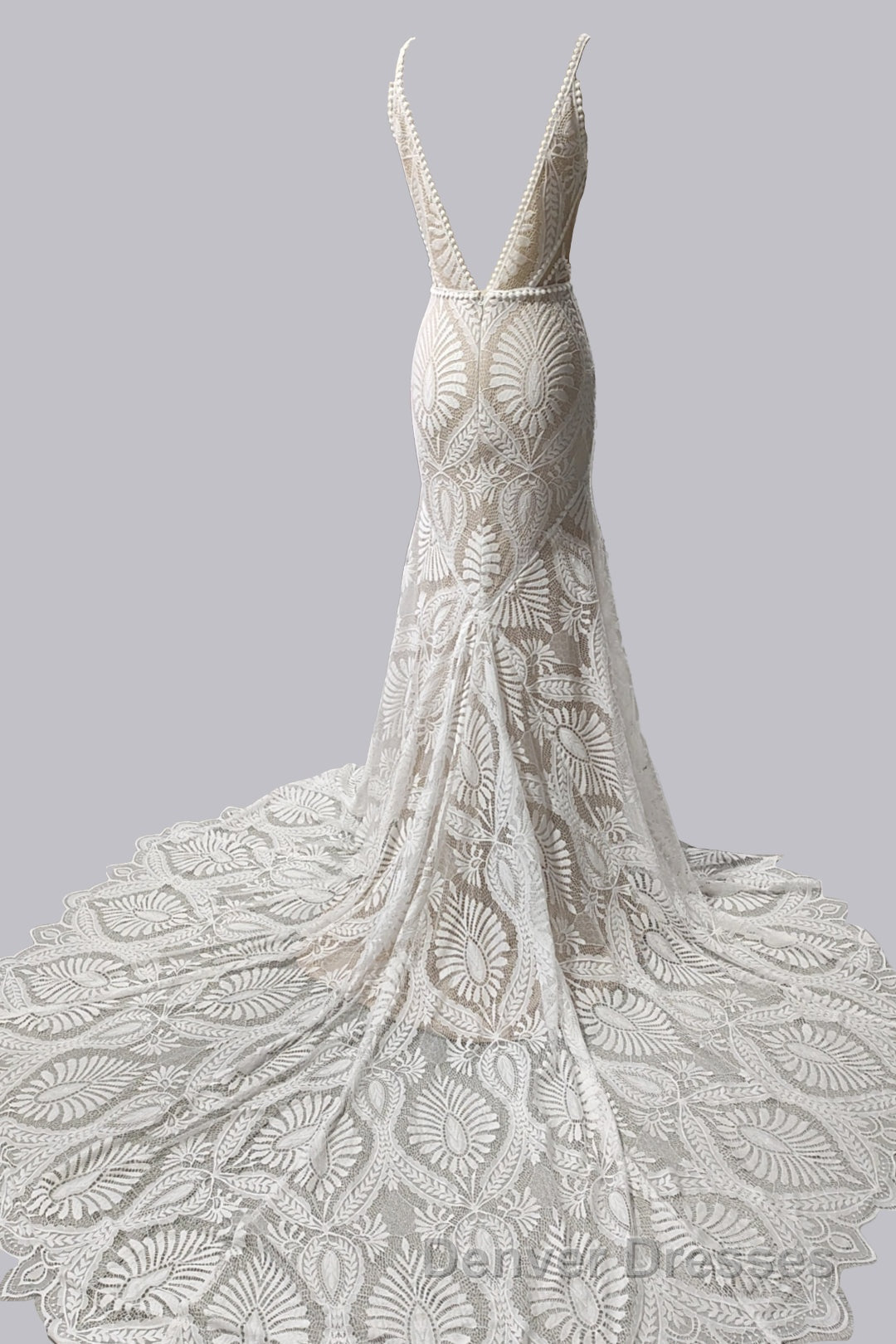 Elegant Spaghetti Straps V Neck Mermaid Lace Wedding Dress