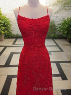 A-Line/Princess Spaghetti Straps Sweep Train Tulle Evening Dress With Appliques Lace