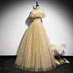 A Line Tulle Long Prom Dress