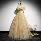 A Line Tulle Long Prom Dress