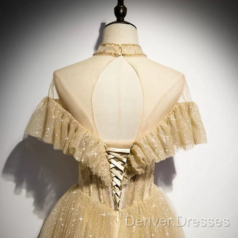 A Line Tulle Long Prom Dress