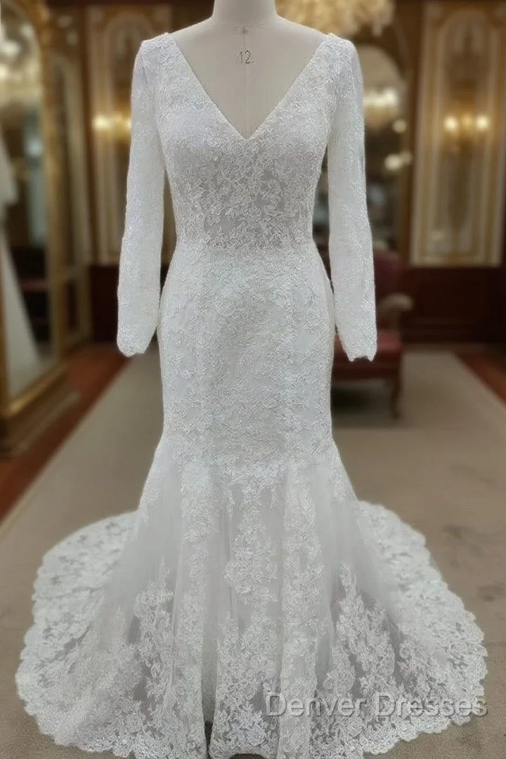 Backless Bohemian Simple V-Neck Long Sleeve Lace Wedding Dress With Train