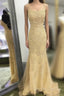 Backless Orange Lace Long Prom Dress, Mermaid Orange Lace Formal Dress