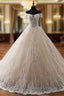 Ball Gown Champagne Off The Shoulder Tulle Appliques Wedding Dress