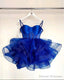 Ball Gown Straps Royal Blue Birthday Dresses Birthday Outfits