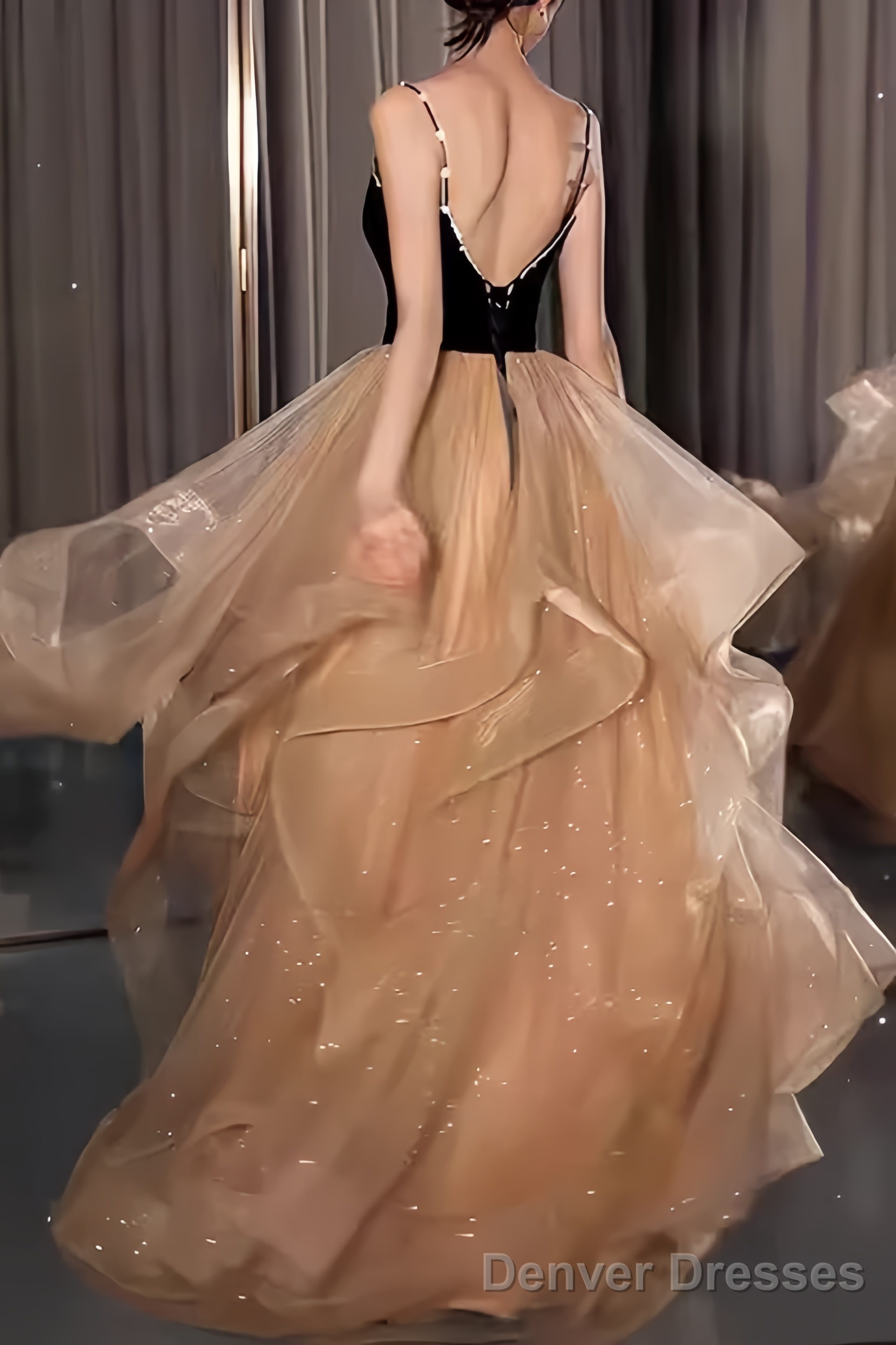 Ball Gown Straps Tulle Champagne Party Dress Long Prom Dress