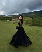 Black Lace Sexy A Line Long Sleeve Evening Dress Prom Dress Formal Gown