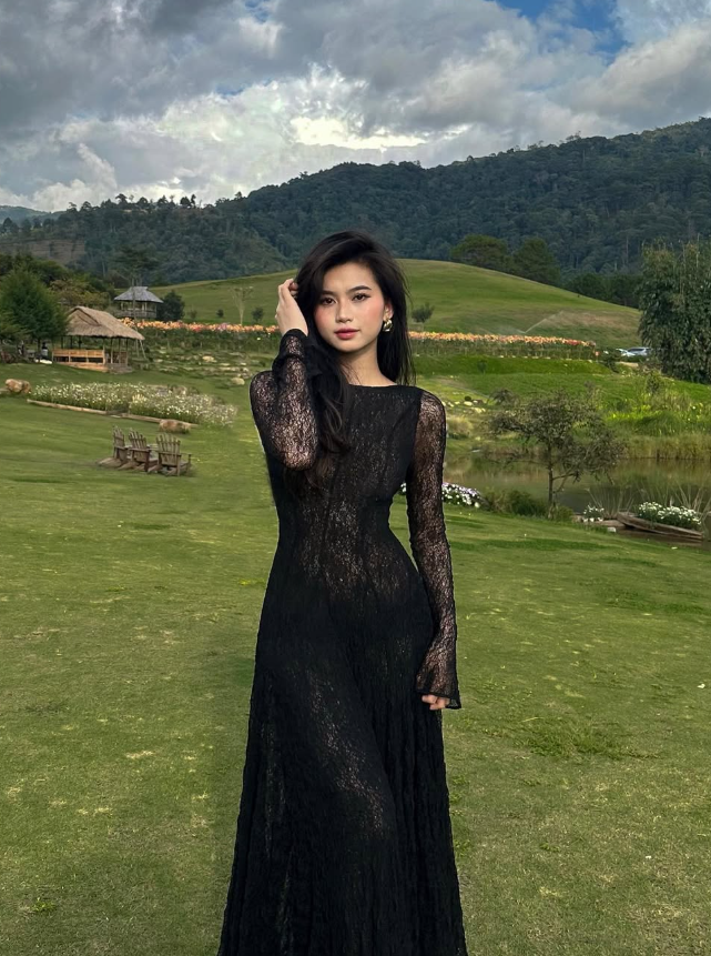 Black Lace Sexy A Line Long Sleeve Evening Dress Prom Dress Formal Gown