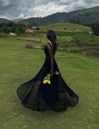 Black Lace Sexy A Line Long Sleeve Evening Dress Prom Dress Formal Gown