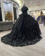 Black quinceanera dress Ball Gown Prom Dress Evening Gown