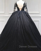 Black Tulle Sheer Neck Appliques Ball Gown Dress