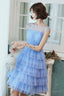 Blue Tulle Short Prom Dress, Cute Round Neck Layered Blue Party Dress