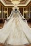 Champagne Ball Gown Tulle Appliques High Neck Long Sleeve Backless Wedding Dress