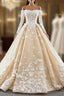 Champagne Ball Gown Tulle Off the Shoulder Appliques Long Sleeve Prom Dress