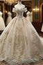 Champagne Ball Gown Tulle Off The Shoulder Appliques Wedding Dress