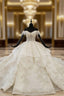 Champagne Ball Gown Tulle Sequins Off the Shoulder Appliques Beading Luxury Wedding Dress