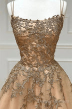 Champagne Lace Tulle Long Prom Dress Formal Evening Dress Ball Gown