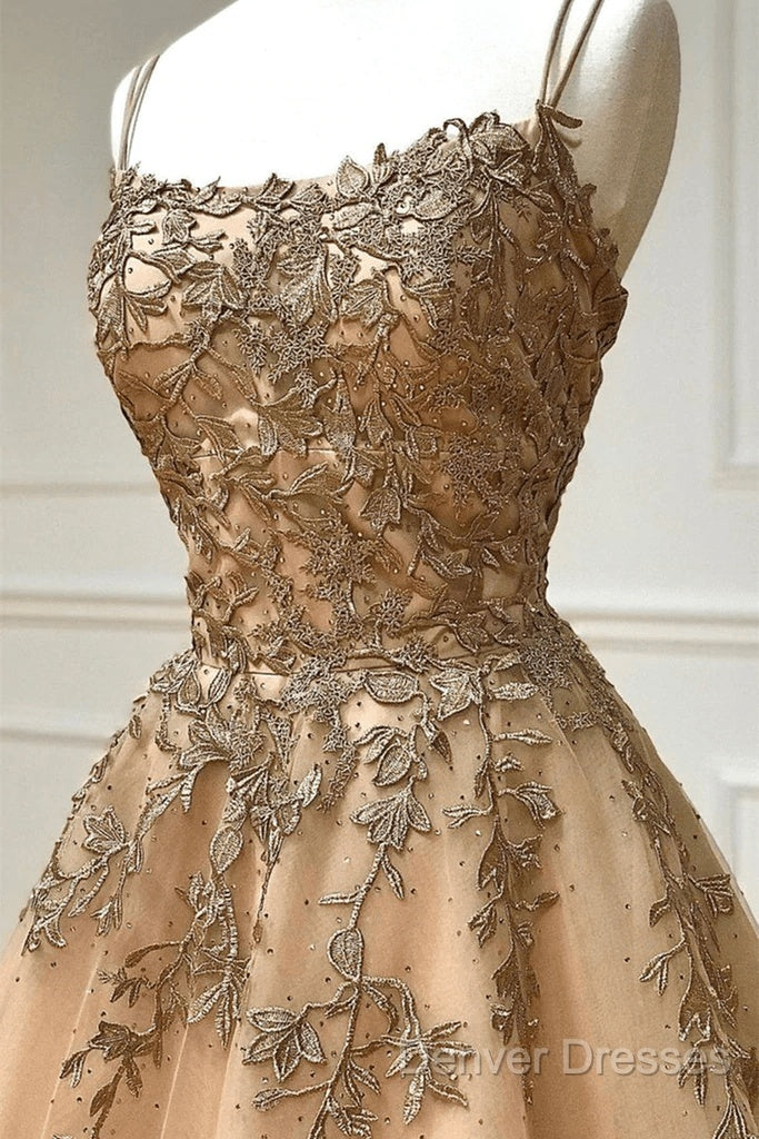 Champagne Lace Tulle Long Prom Dress Formal Evening Dress Ball Gown