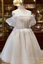 Champagne Sweetheart Lace Tulle Party Dress, A-Line Homecoming Dress