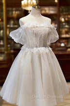 Champagne Sweetheart Lace Tulle Party Dress, A-Line Homecoming Dress