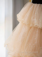 Champagne Sweetheart Neck Tulle Long Prom Dress, Champagne Formal Dress
