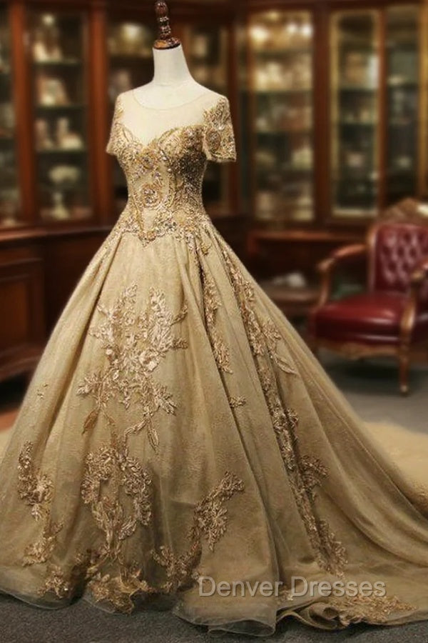 Champagne Tulle Embroidery Short Sleeve Backless Haute Couture Wedding Dress