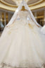 Champagne Tulle Long Sleeve Appliques Beading Wedding Dress