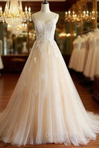 Champagne V Neck Tulle Lace Long Prom Dress, Champagne Tulle Evening Dress
