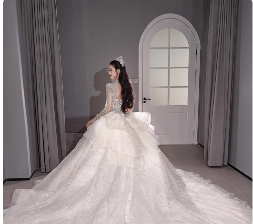 Chic A-Line Long Wedding Dress Tulle  White Bridal Gowns Long Sleeves Bridal Dress