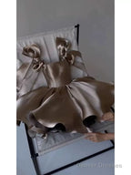 Chic Ball Gown Brown Homecoming Dress 16Th Birthday Outfits